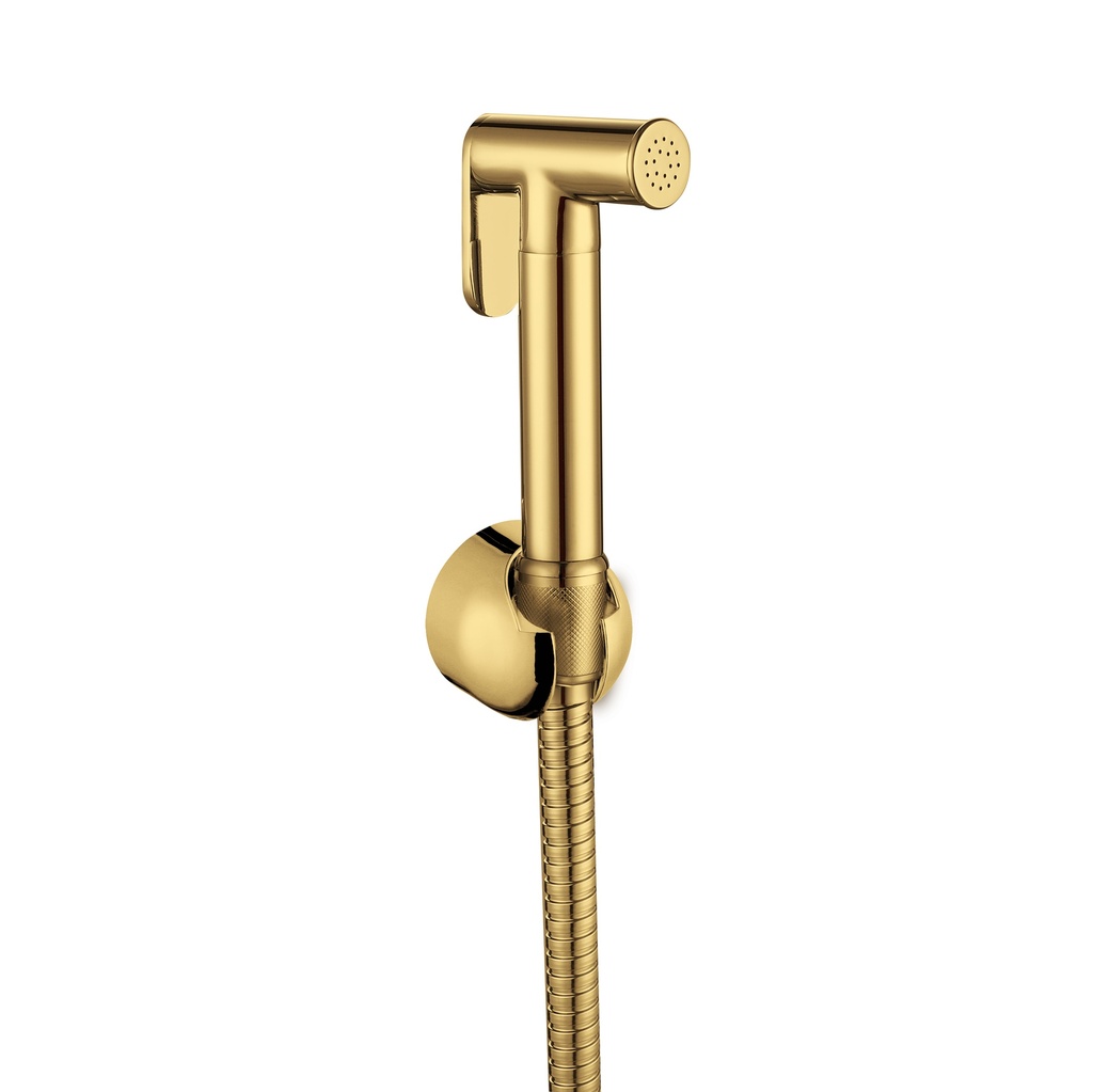 EMPOLO BSP013G	Spray with base and 1.2m hose gold
