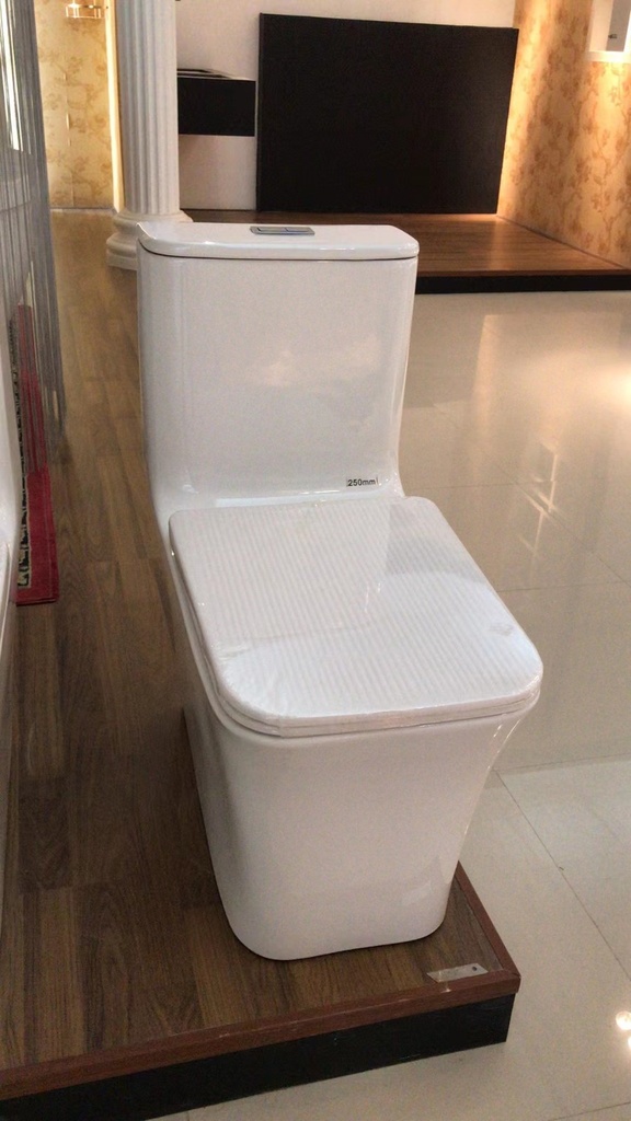 ICON HOME WC S trap SH-808
