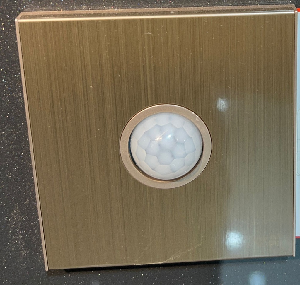 KS15-038 GOLD HUMAN BOADY SENSOR ICON HOME 