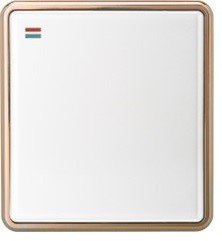 Golden Circle KS10-002 ICON HOME 1 gang 2 way plate switch