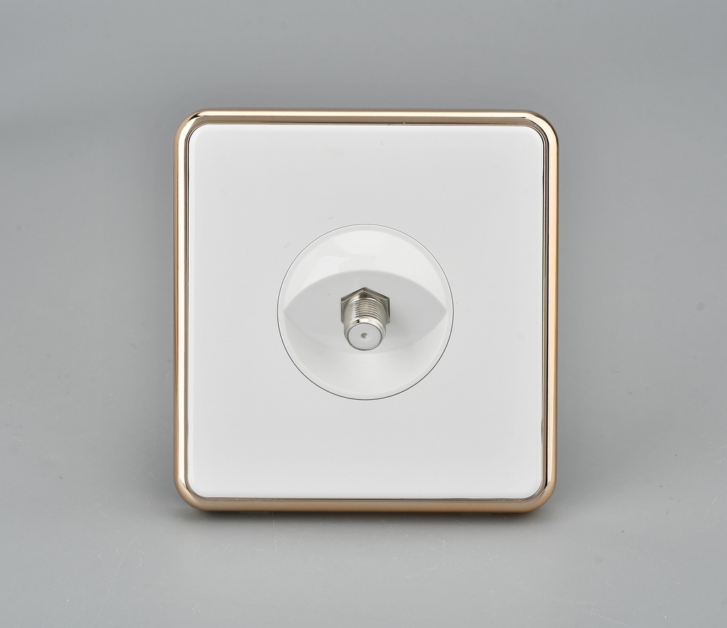 Golden Circle KS10-029 ICON HOME SATELLITE SOCKET
