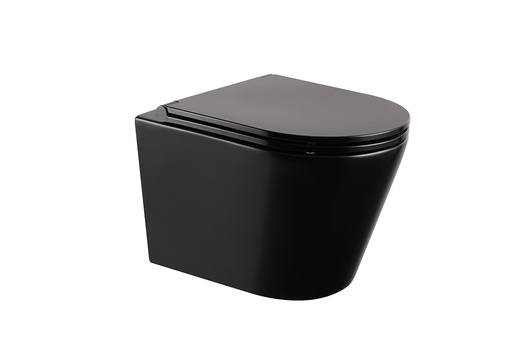 EMPOLO ET621MBF Wall hung toilet