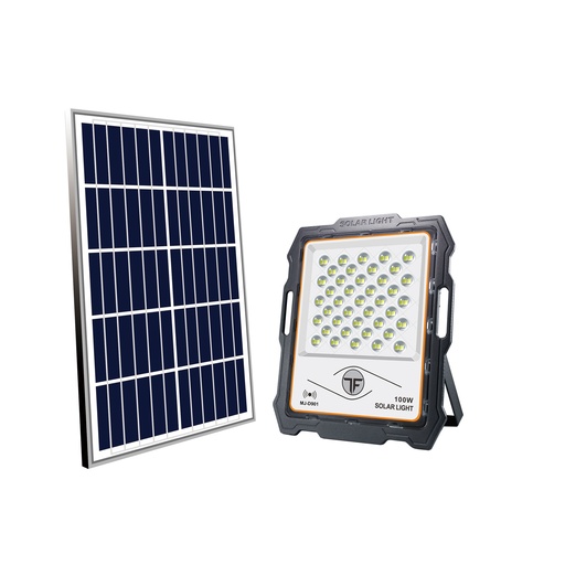 AR-D901-2 Transformer 100 solar flood light