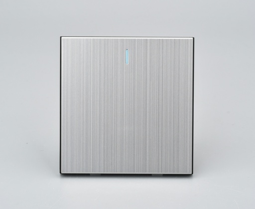 KS15-002 ICON HOME Silver 1gang 2way switch
