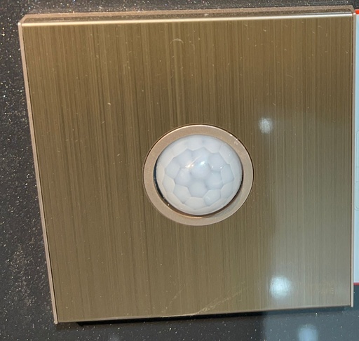 KS15-038 GOLD HUMAN BOADY SENSOR ICON HOME 