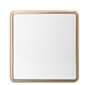 Golden Circle KS10-045 ICON HOME BLANK PLATE