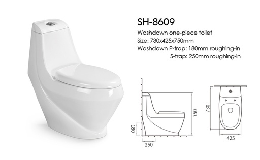 ICON HOME SH-8609  S TRAP TOILET