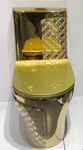 ICON HOME SH-285G S TRAP TOILET